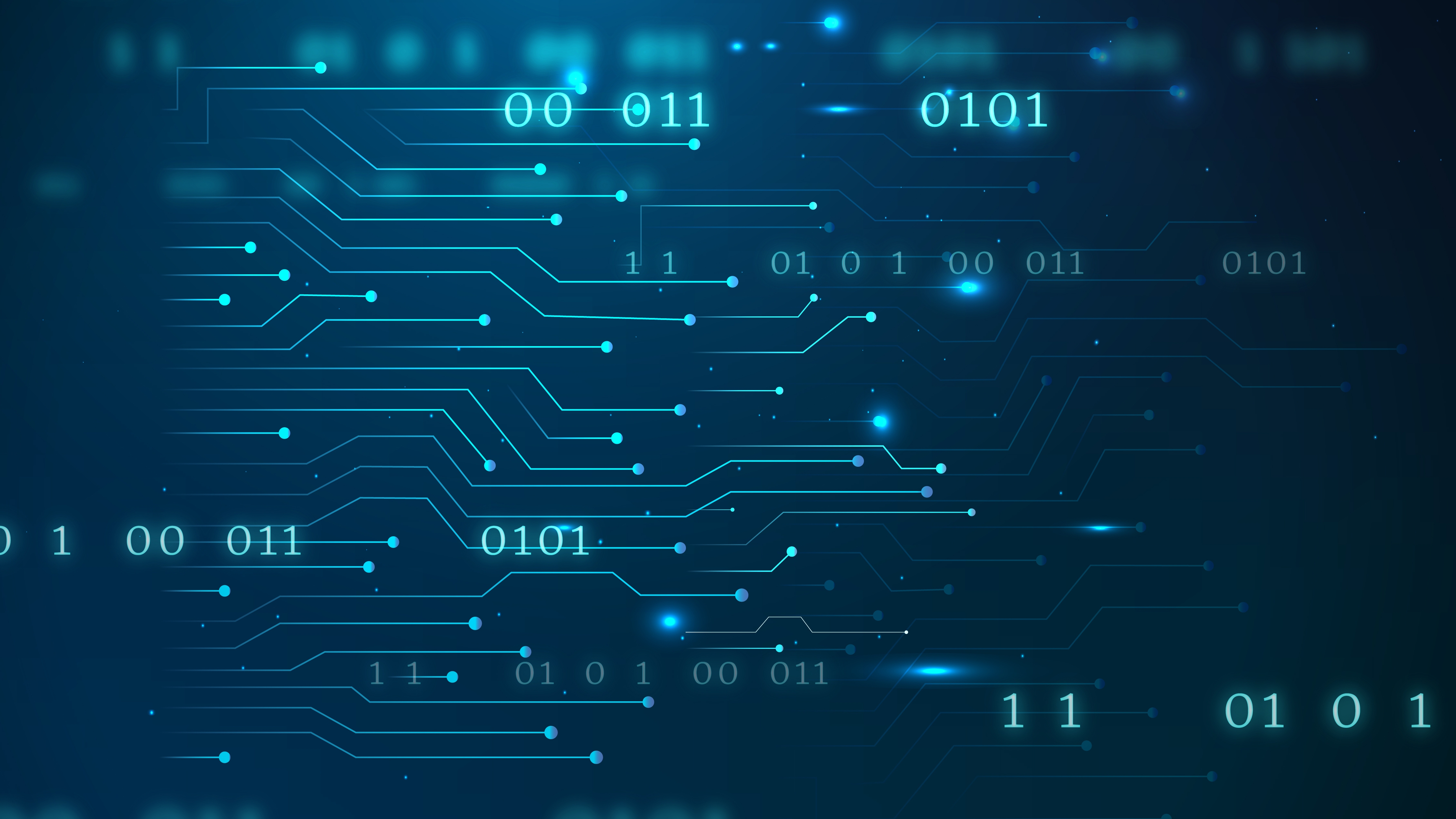 48. Площадь и периметр прямоугольника