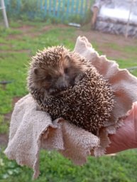 всем привет заходите буду отвечать вопросы❤🧡💛💚💙💜