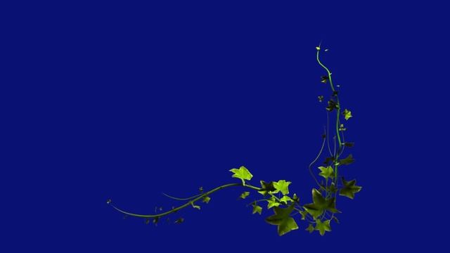 травяное украшение правого нижнего угла