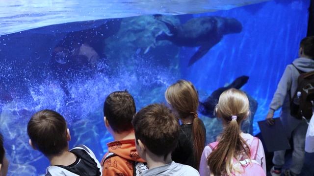 Приморский океанариум - лучшее место на Земле!