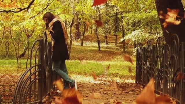 «Осенняя заря в столице | Стихи о том, как замирает время»