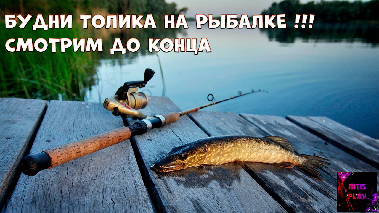 БУДНИ ТОЛИКА НА РЫБАЛКЕ I Russian Fishing 4 fishing рыбалка fishingvideo