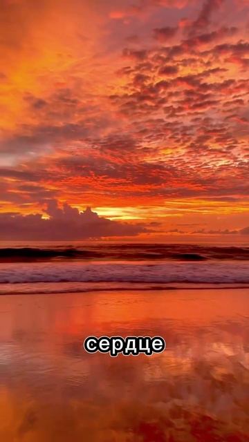 Мир прекрасен #мотивацияивдохновение #красота #путешествия #лето #тренды #тикток #music #цитаты