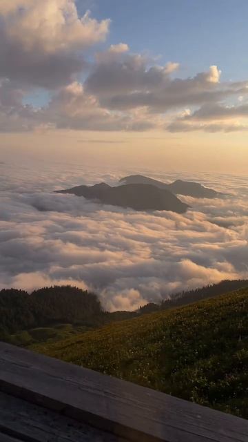 Красная поляна