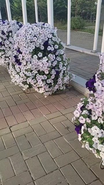 VID_20250903_144413_517.mp4