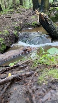 Горный ручей близ Екатеринбурга