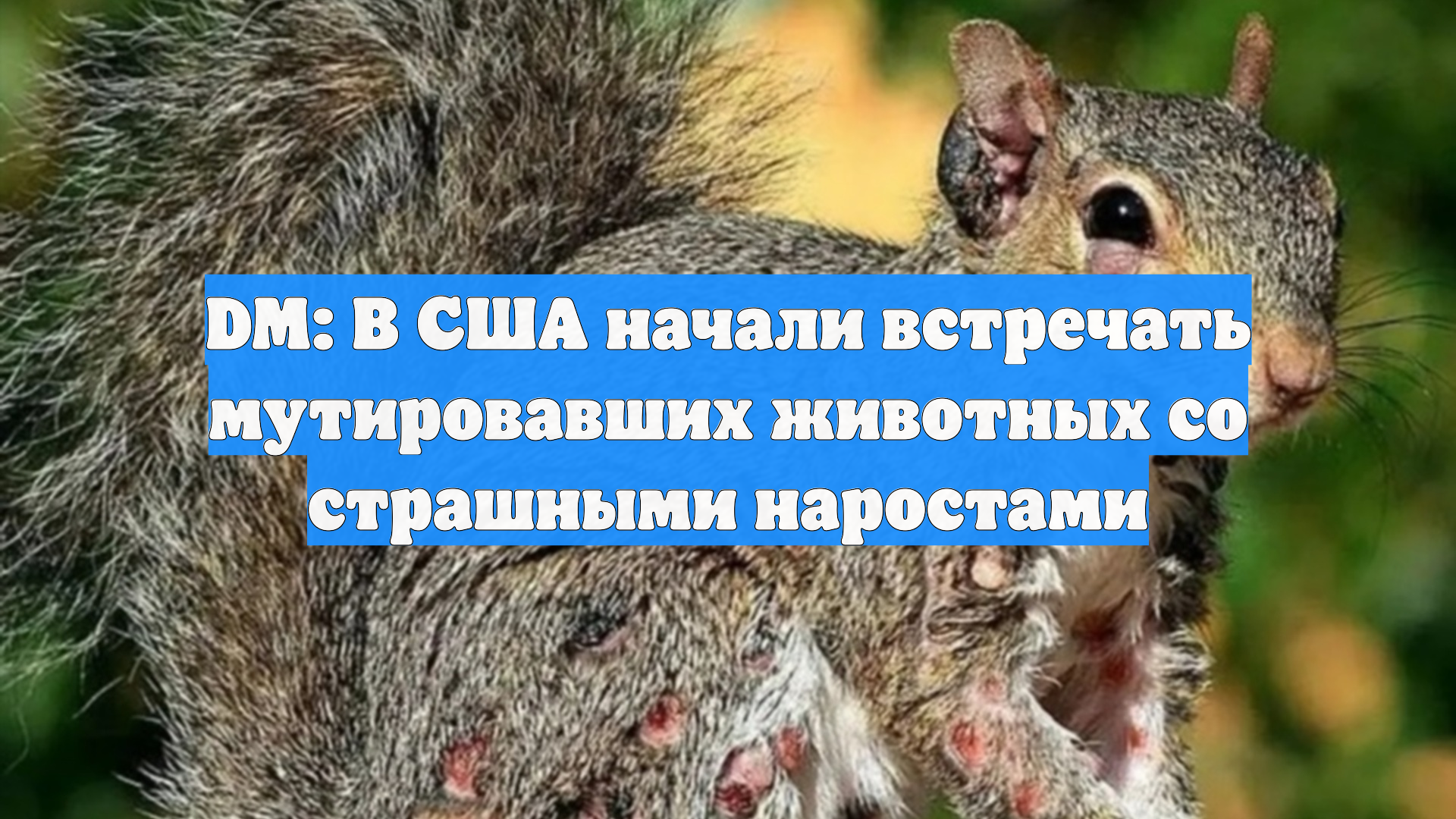 DM: В США начали встречать мутировавших животных со страшными наростами