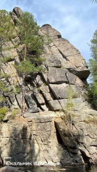 Баторова роща: лес посреди степей 🌳❓🌾
