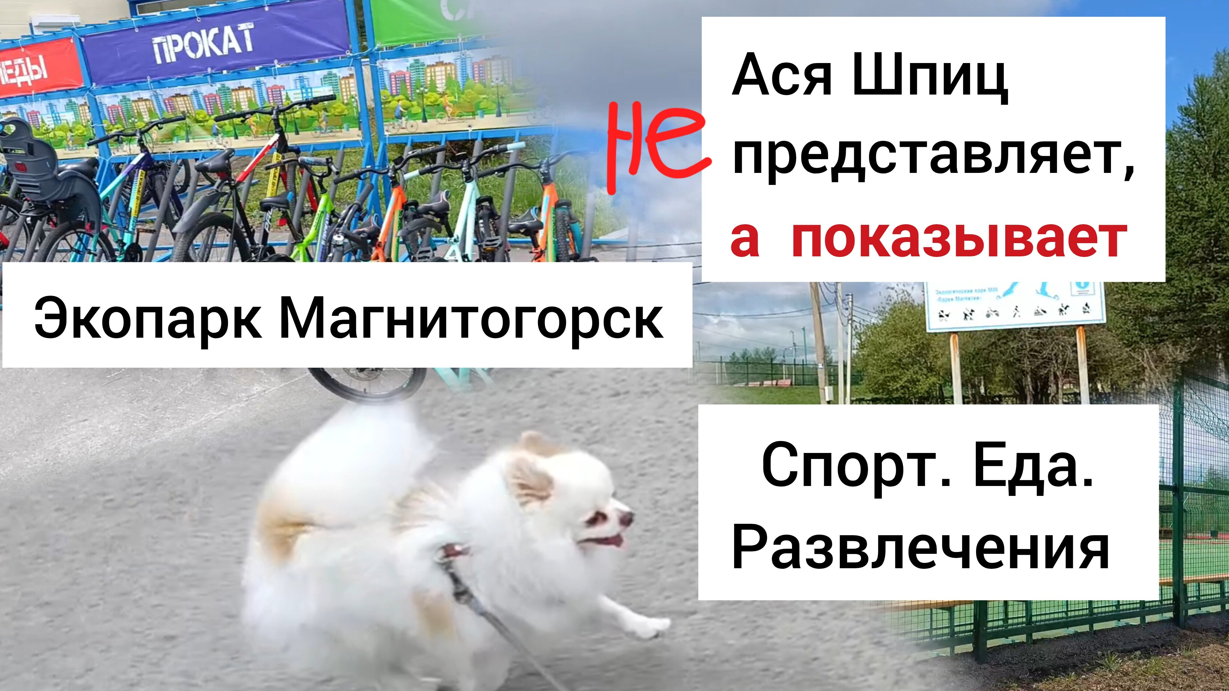 Обзор Экопарка в Магнитогорске с собакой