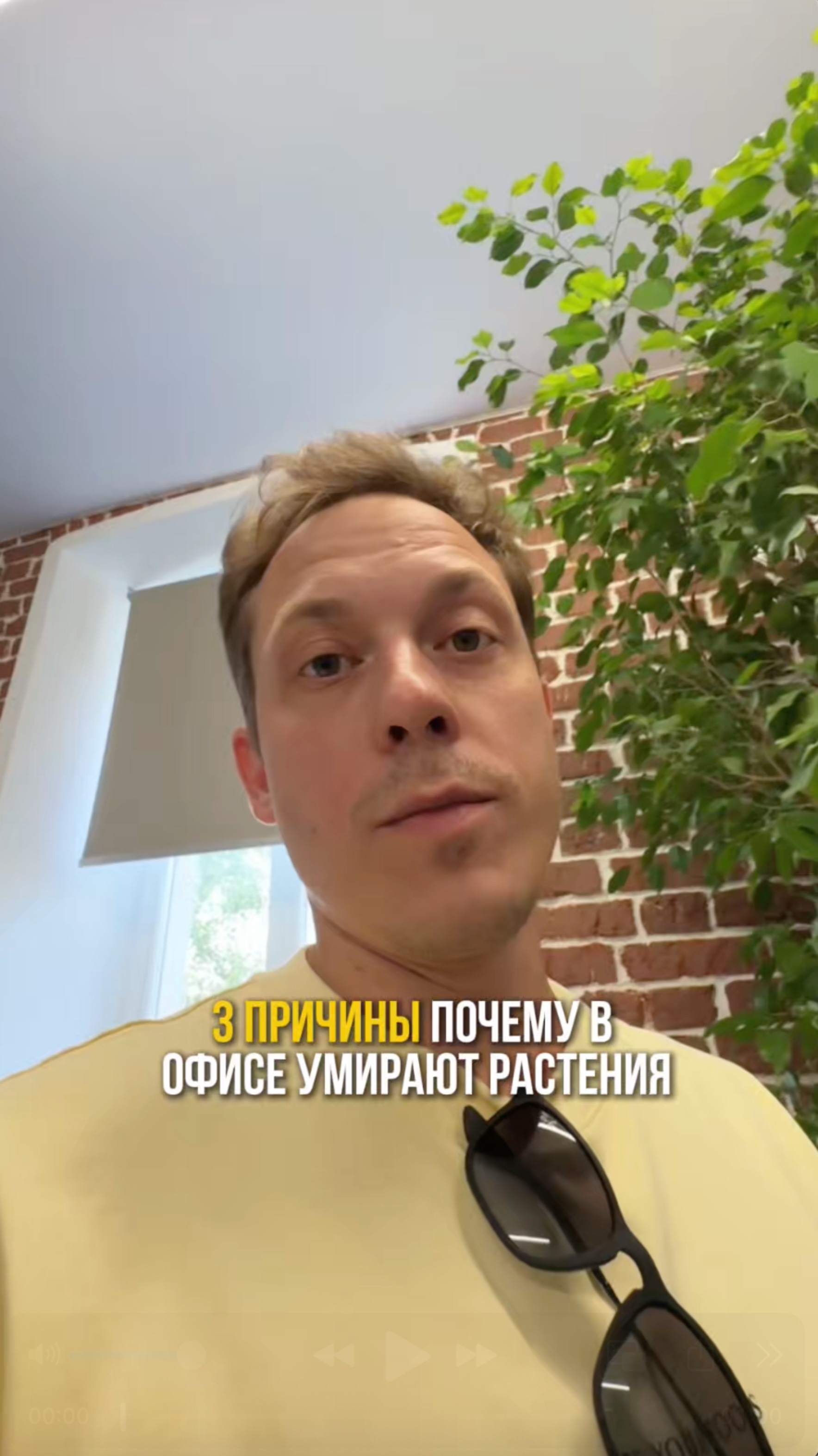 3 причины почему в офисе умирают растения
