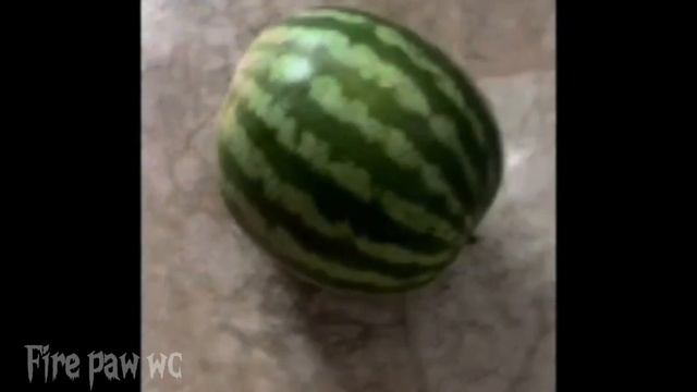 Мои арты по вайлд крафт (вроде все) 😅