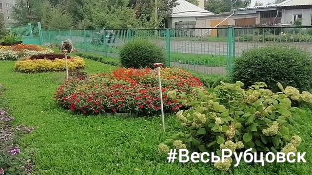 Территория Управления образования по г. Рубцовску