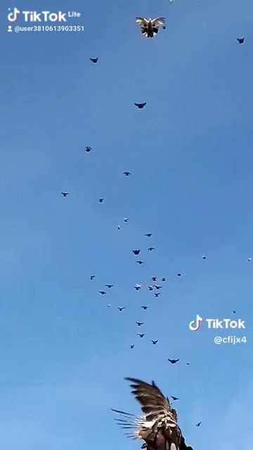1000008992.mp4