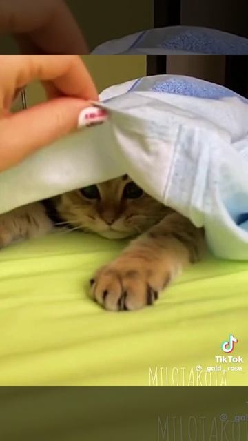 1000007722.mp4