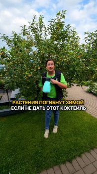 Растения погибнут зимой, если не сделать ЭТО!