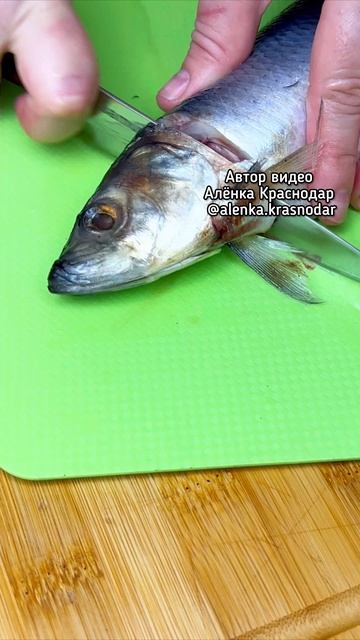 Домашняя маринованная сельдь — проще простого!