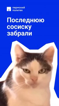 Эмоциональное повреждение получено