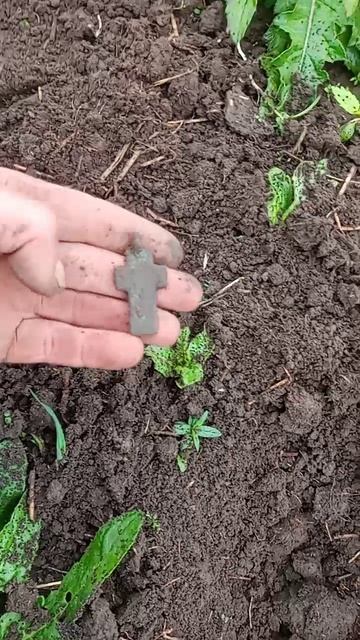 VID_20250903_093707_323.mp4