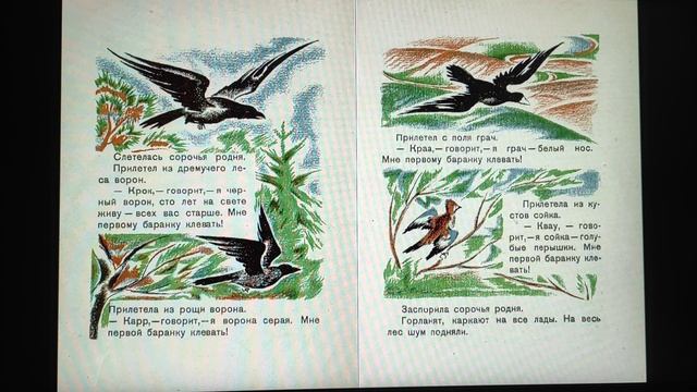 ДЕТЛИТ 058 Рахманин С. Е. Сорочья родня (Л.: Государственное издательство, 1929)