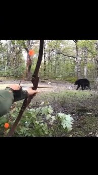 Охота на медведя 🏹🐻