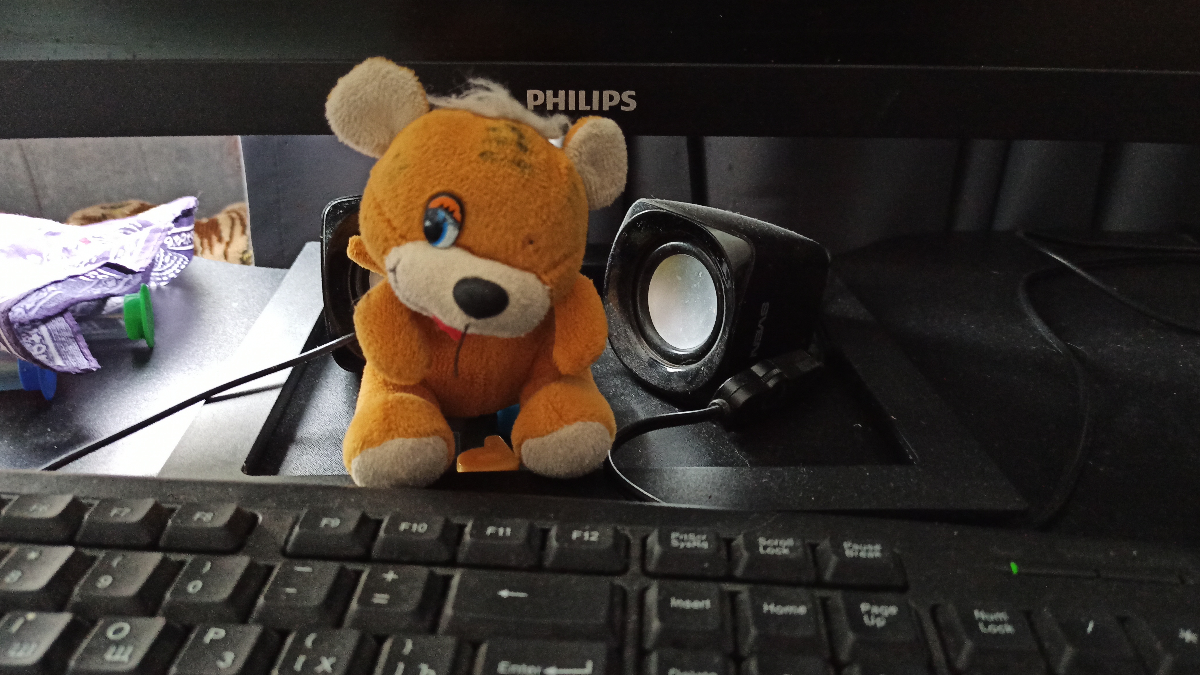 играем в тигренка