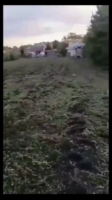 😃 🙈 А если что то не сбылось... Мы Бабьем Летом наверстаем! 🤪