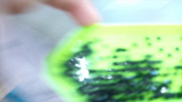 InShot_20250903_174738909.mp4