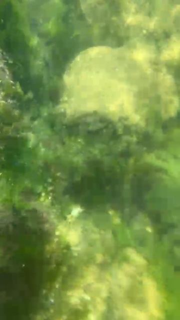 Море в Береговом, Феодосия, Крым.mp4