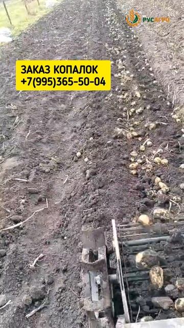 Транспортерная копалка для мотоблока и минитрактора