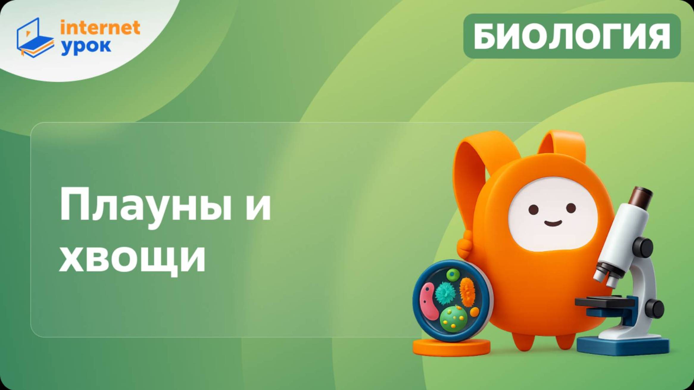 Плауны и хвощи. Видеоурок по биологии 5 класс