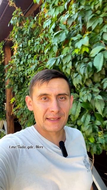 Дивноморское, Апарт-Отель «Альпина-Хутор» #дивноморское #снятьжилье #тудагдеморе