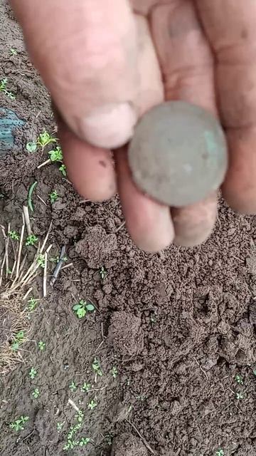 VID_20250903_090613_417.mp4