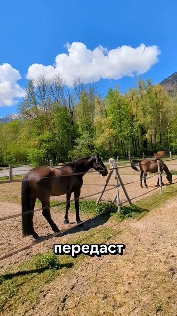 #dj #motivation #личность #цитатыпрожизнь #цитатыосмысле #вдохновение #свобода #смыслжизни