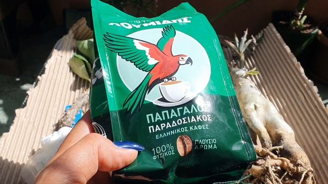 Адениумы от Ирочки из Греции