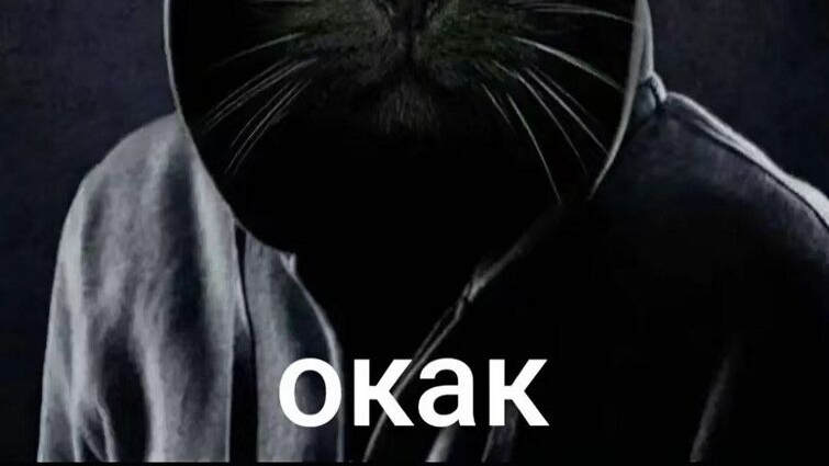 Самые смешные мемы Июля🤣