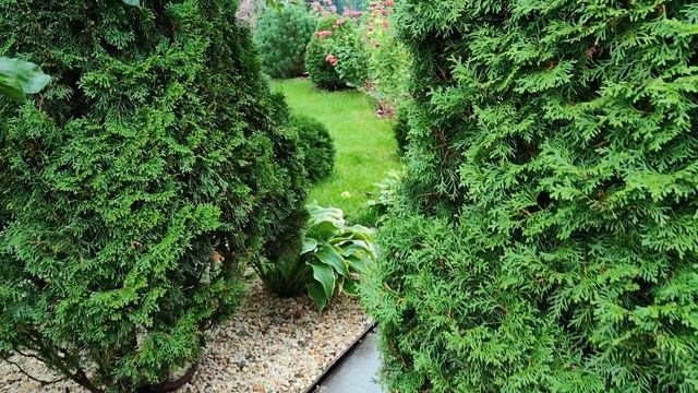 Наш прекрасный сад.