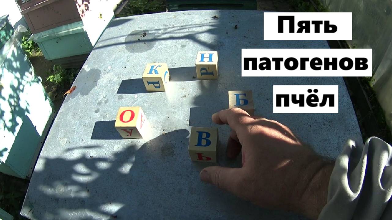 Пять патогенов пчёл.