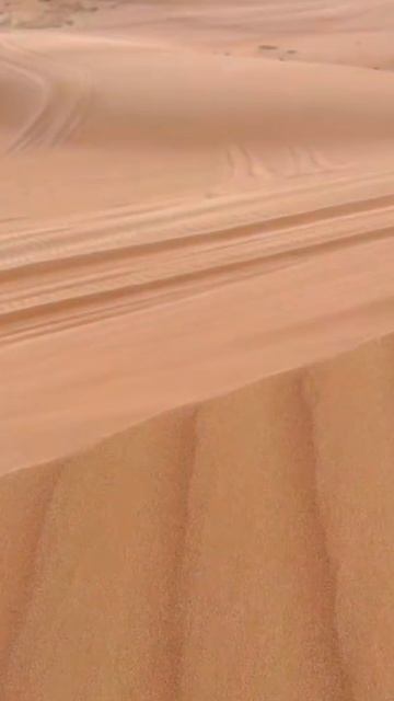 С семьей только так 😀Паровая швабра: WW142306