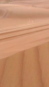 С семьей только так 😀Паровая швабра: WW142306