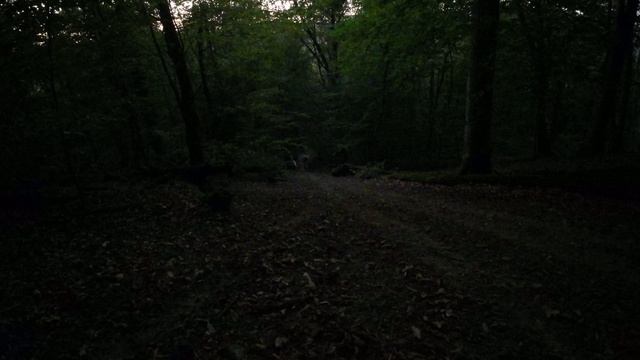 DJI_0092