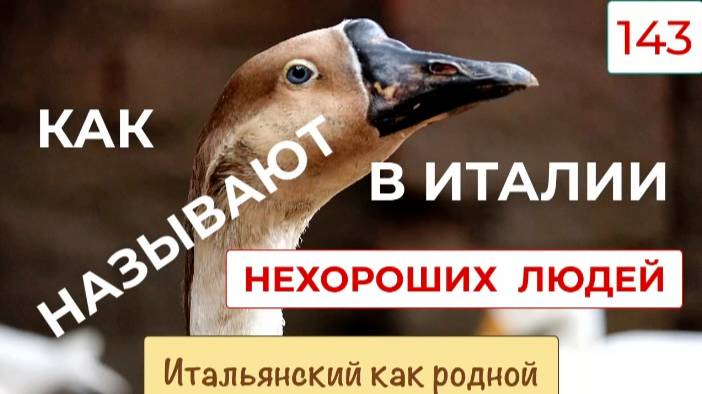 Как в Италии называют нехороших людей – 143