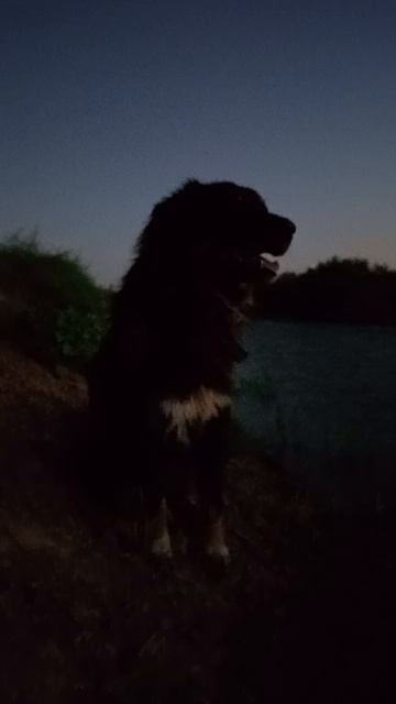 Рыбнадзор😊