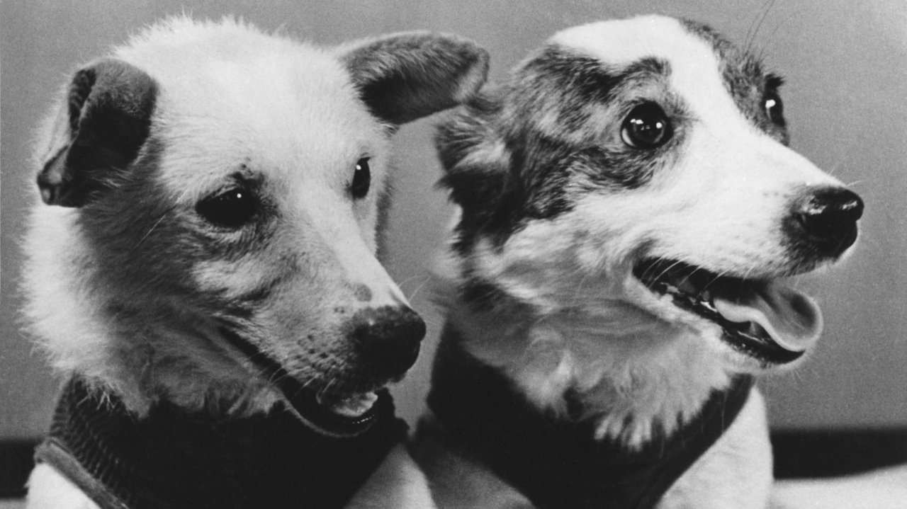 Советский космический корабль с собаками Белкой и Стрелкой на борту