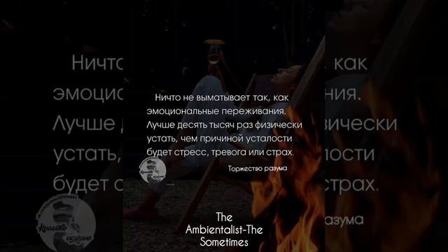 The Ambientalist-The Sometimes