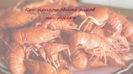 Как вкусно приготовить раков по-русски — сделано в Clipchamp