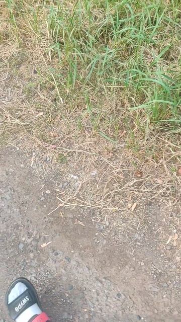 мы против ангины 3часть