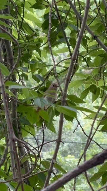 Утренние учеты: правда жизни