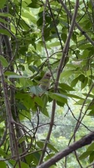 Утренние учеты: правда жизни