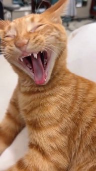 ВОТ ЭТО РЖАКА