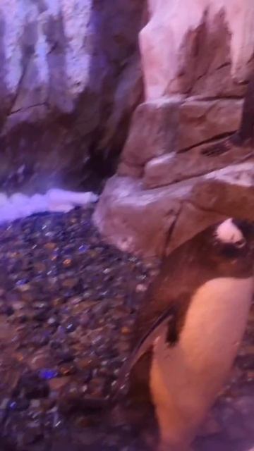 Привет, Человеки!!! 👽👽👽